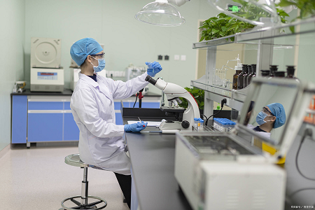 నమ్మదగిన ఎంటర్టిక్ పాథోజెన్ రవాణా కోసం సవరించిన కారీ-బ్లెయిర్ ట్రాన్స్పోర్ట్ మీడియా