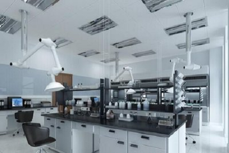 ఫాస్టిడియస్ బాక్టీరియా కోసం అధిక-నాణ్యత GC అగర్ బేస్ - BABIO