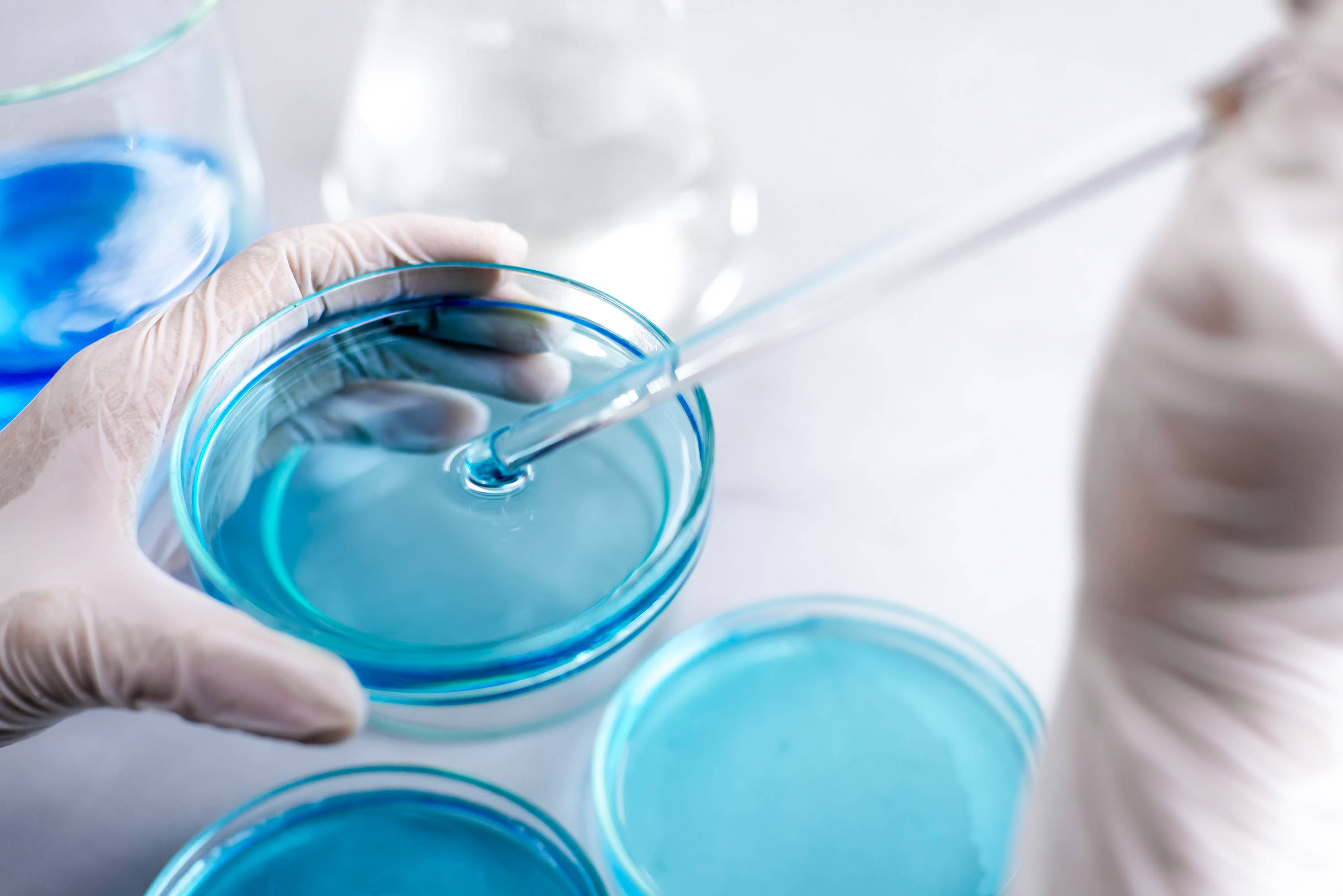 BABIO ఫంగల్ డిటెక్షన్ కోసం నమ్మదగిన SDA మీడియంను పరిచయం చేసింది