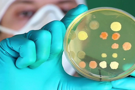 BABIO గ్లోబల్ క్లినికల్ & ల్యాబ్ మైక్రోబయాలజీ కోసం ప్రీమియం ట్రిప్టికేస్ సోయా బ్రత్ (TSB)ని ప్రారంభించింది