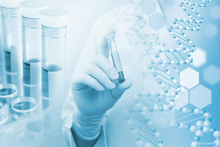 అగర్ మీడియం బి (కేసిన్ సోయా బీన్ డైజెస్ట్ అగర్) - సూక్ష్మజీవుల సంస్కృతికి నమ్మదగిన ఎంపిక